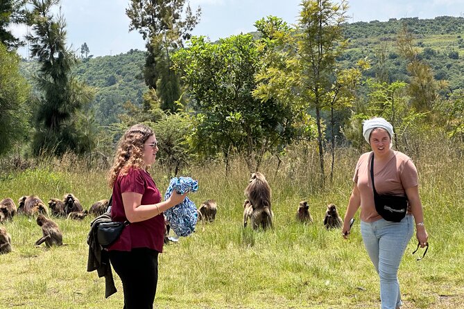 1-Day Tour Old bridge, Monastery,water falls Wildlife,Birds, - Key points to know before you book