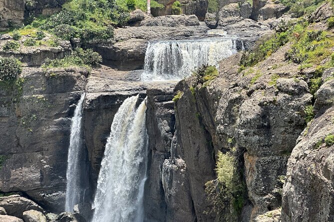 1-Day Tour Old bridge, Monastery,water falls Wildlife,Birds, - Why this day trip works from Addis Ababa