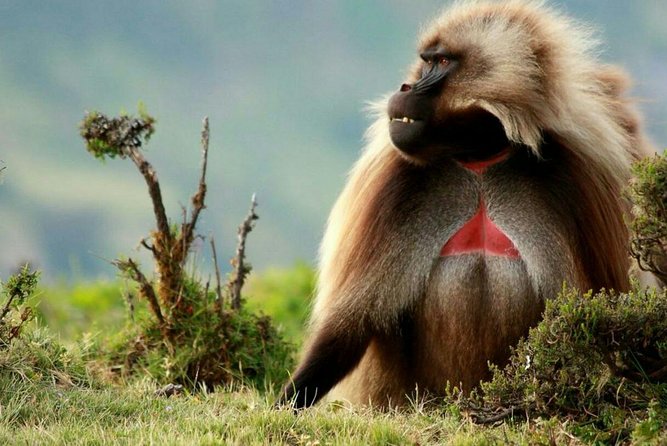 10 Days in Northern Ethiopia Tours - Key Points to Know Before You Go