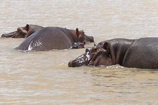 2-Day private Tour in Bahir Dar and Blue Nile falls - Key points at a glance