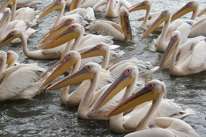 2-Day private Tour in Bahir Dar and Blue Nile falls - Private transport, timing, and comfort