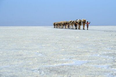 2 Days Dallol Trip