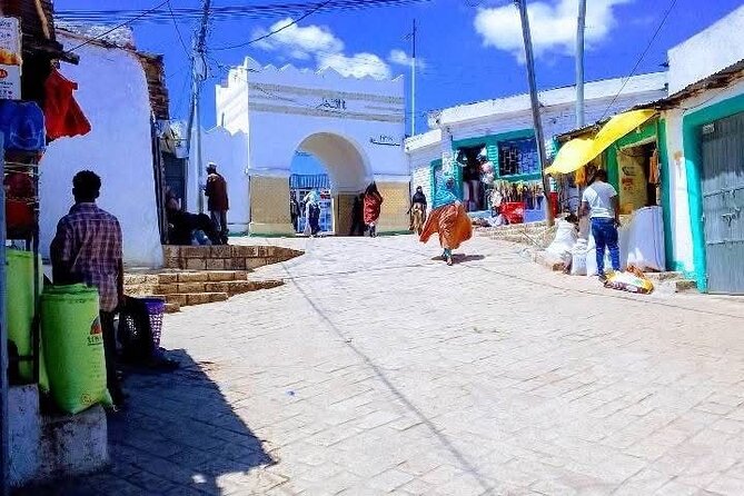 2 Days Harar Tours - Day two: Babile Camel Market and the Valley of Marvels