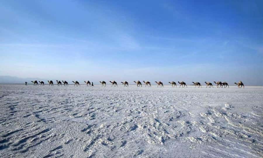 2-Night 3-Day Danakil Depression Tour without Flights - Sleeping at Erta Ale: Basic conditions, major payoff