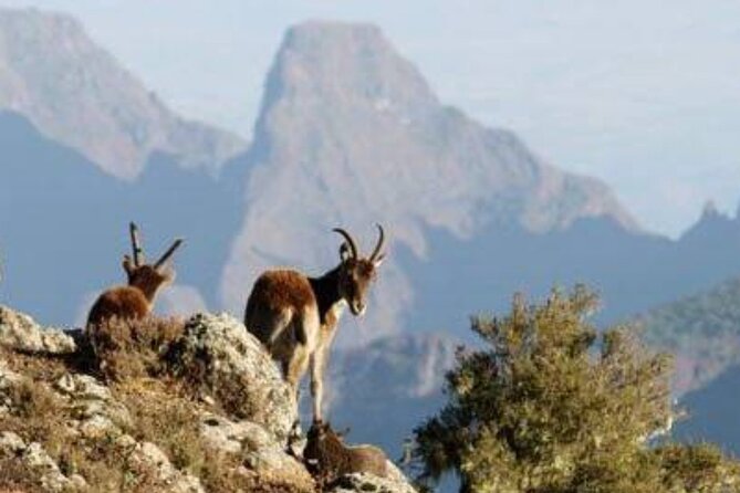 2 Nights 3 Days Trek to Semien Mountain - Why the Simien Mountains work so well for a short trek
