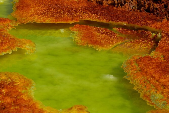 3 Day Danakil Depression Dallol & Ertale Tours - Organization and local support