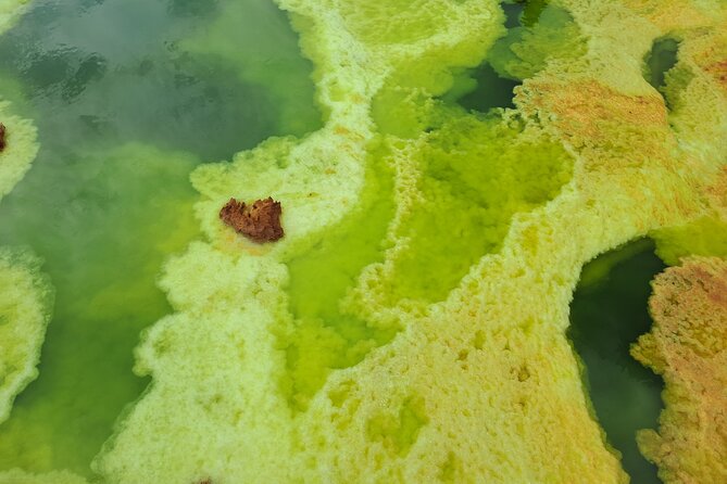 3 Day Danakil Depression Ertale and Dallol Tours - Day 3: Dallol’s sulfur springs and an alien-colored desert