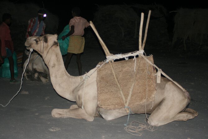3-Day Danakil Depression Expedition - Day 3: Afdera, salt production, and the return to Semera