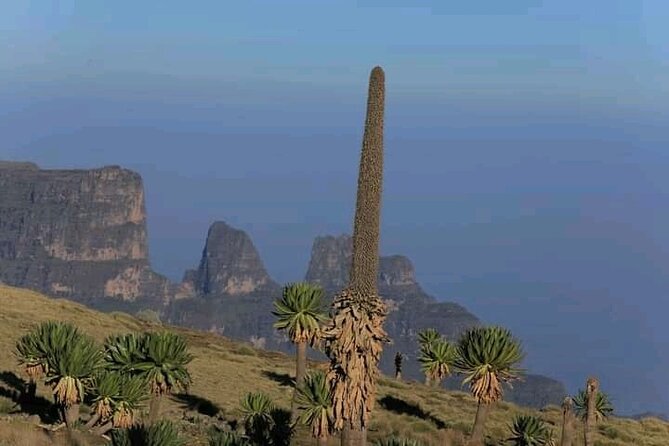 3 Day Simien Mountains Tours - What the $350 price includes