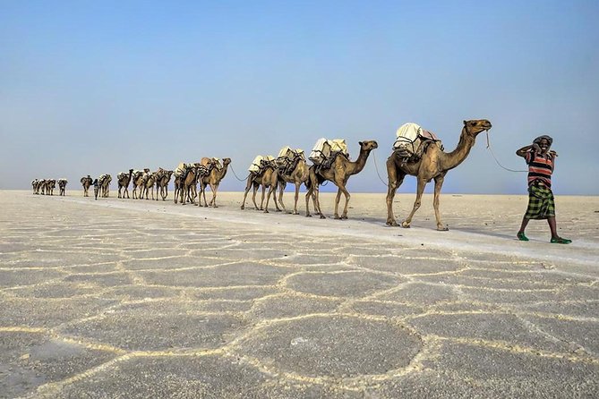 3 Day Tour to the Danakil Depression, Dallol, and Earta'le Volcano - Transport, guides, and the practical side