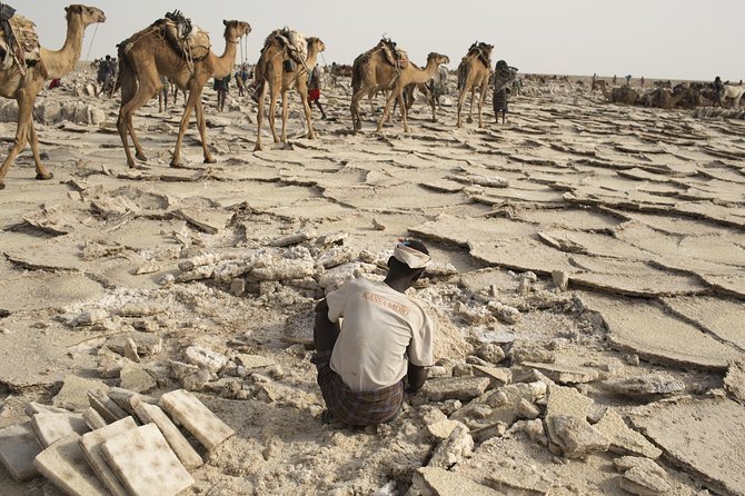 3 Day Tour to the Danakil Depression, Dallol, and Earta'le Volcano - Who should book this trip?