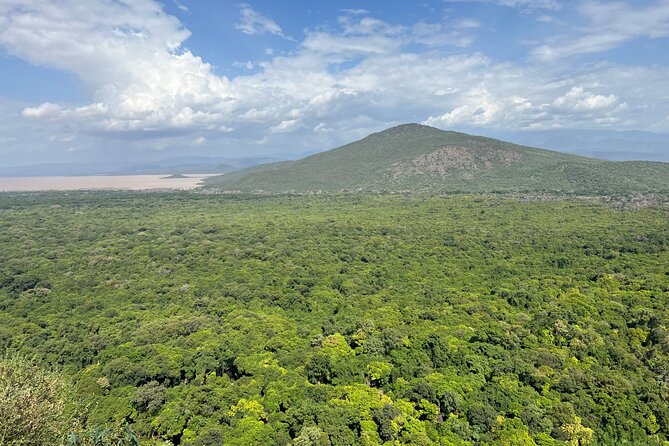 3 Days, Arba Minch, Dorze village and Konso Village - Day 3: Forest springs and Lake Chamo wildlife