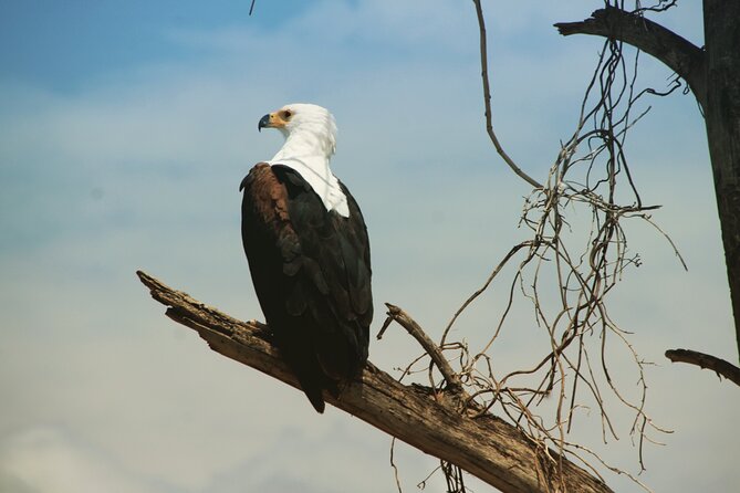 3 Days, Arba Minch, Dorze village and Konso Village - The guide and the private touring style