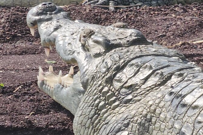 3 days around Arbaminch and Konso Adventure Tours Life Time - Price, Group Size, and What Is Included