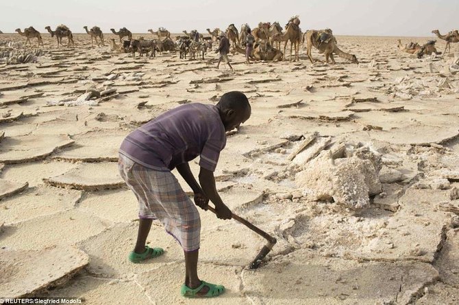 3 Days Danakil Depression Tours Via Semera - Day 3: Afdera and the route back to Semera