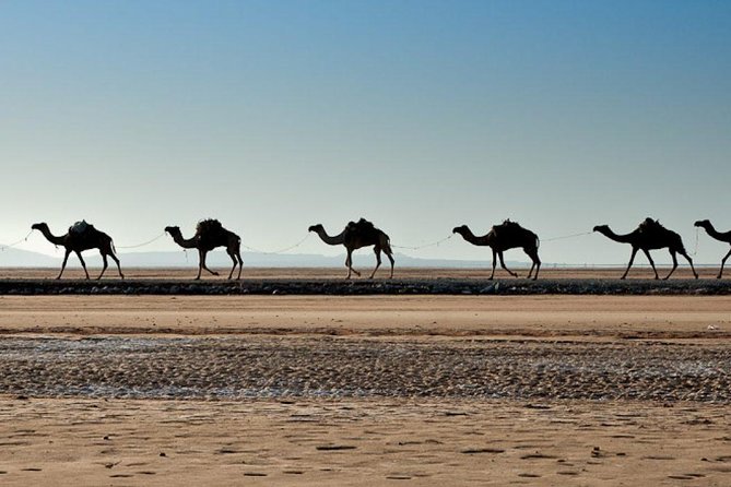 3 Days Danakil Depression Tours Via Semera - Guides, organization, and the human side of the trip