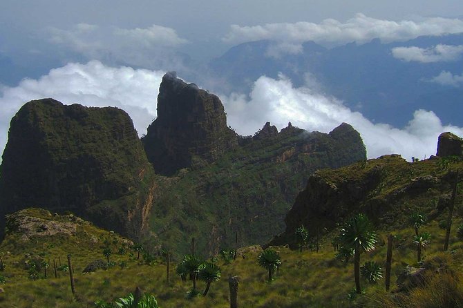 4 Days Trekking to Simien Mountain National Park - Day 4: Buwahit at 4,430 meters and the return to Gondar