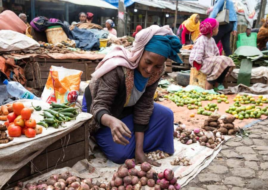 4 Hours Addis Ababa Cultural Discovery Tour - Who should choose this Addis Ababa tour?