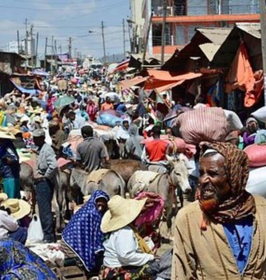 5 hours Addis Ababa Layover city tour - Should You Book the Addis Ababa Layover Tour?