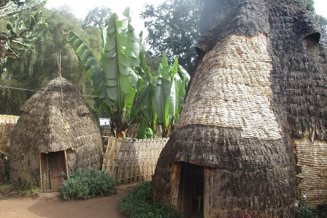 6 day Omo ValleyTours - Day 5: Dorze crafts and food on Guge Mountain