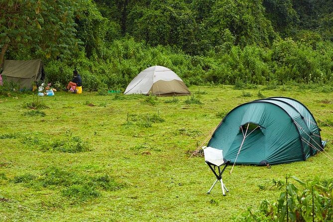6 Days Bale Mountains Trekking - Day 3: Mararo Valley and the high Wasema Camp