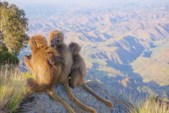 7 Days Northen Ethiopia Tour - Key points to know before booking