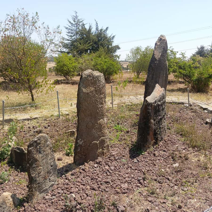 Adadi Mariam & Tiya Stelae Day Trip - The drive through Gurage country