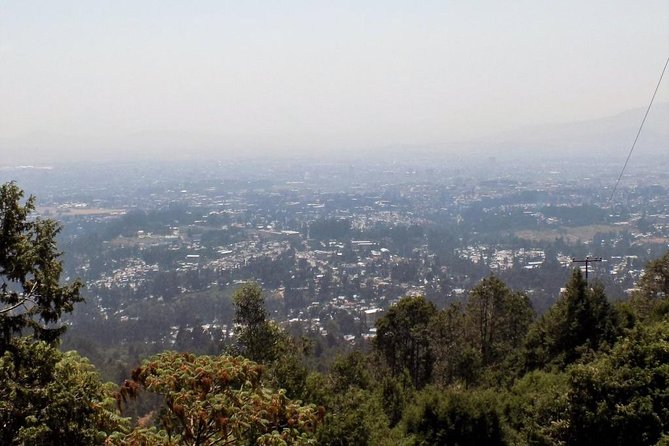 Addis Ababa City Tour - Shiro Meda and the move into city life