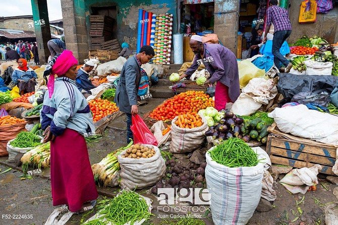 Addis Ababa City Tours With Cocking Class of Ethiopian Food - Guides, drivers, and the private format