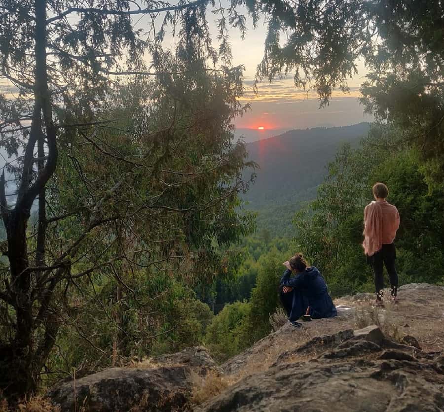Addis Ababa: Debre Libanos, Blue Nile Gorge, and Cave Tour - Portuguese Bridge and the Blue Nile Gorge