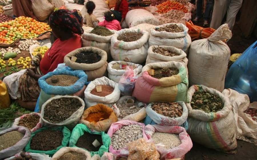 Addis Ababa: Entoto hill and Mercato Market layover tour - Why this pairing works for a layover