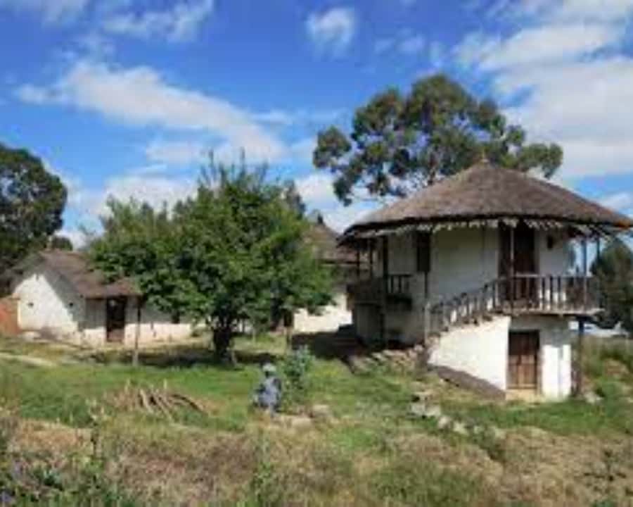 Addis Ababa: Entoto hill and Mercato Market layover tour - Entoto Maryam Church and Menelik II’s palace