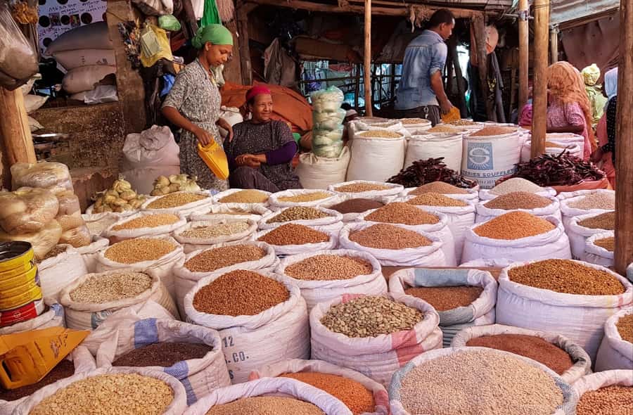 Addis Ababa: Entoto hill and Mercato Market layover tour - Looking across Addis Ababa