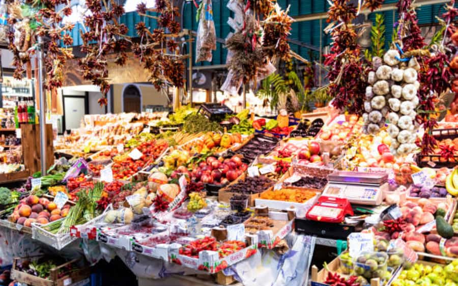 Addis Ababa: Entoto hill and Mercato Market layover tour - Communication, transport, and timing