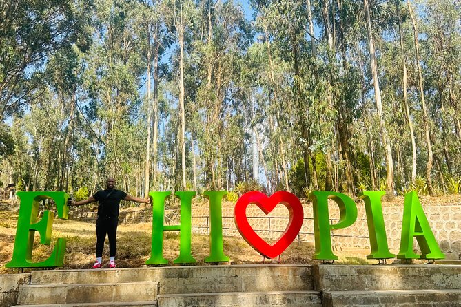 Addis Ababa Guided City Tours - Mount Entoto: cool air and wide views above the capital