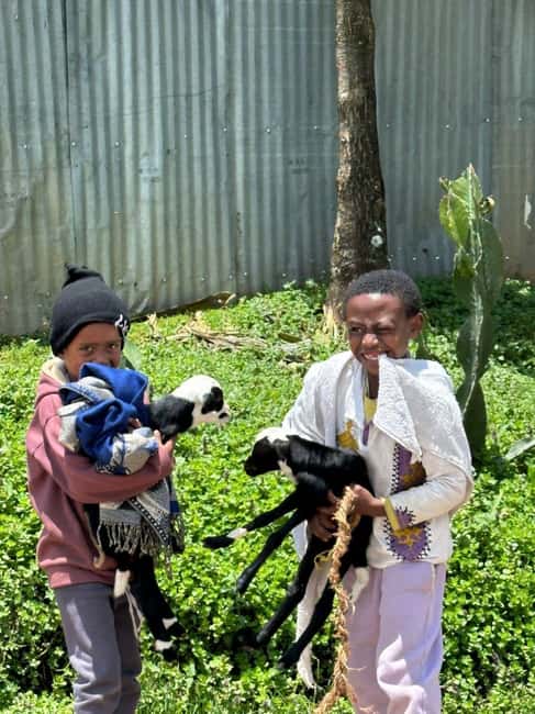 Addis Ababa highlight city tour - Who should book this Addis Ababa tour?