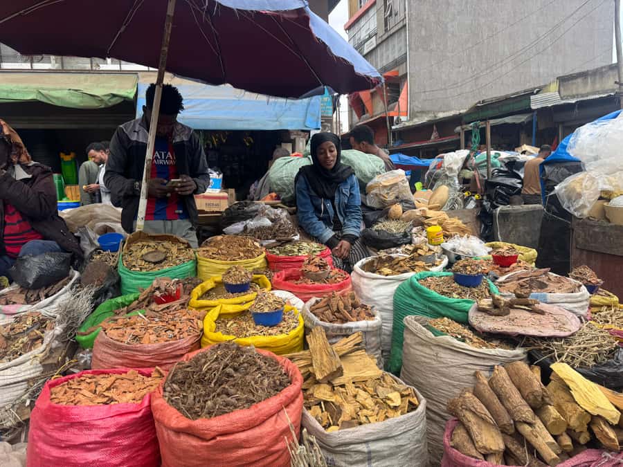 Addis Ababa: Mercato Market and Sightseeing Tour - Entoto Natural Park at 2,600 to 3,100 meters