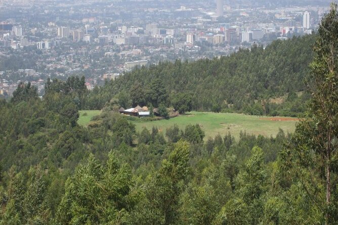 Addis Ababa +Mount Entoto View Point,Museums Palace Market Tours - Monuments that explain modern Ethiopian history