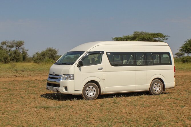 Addis Ababa Private Airport-Hotel Transfer - The optional supermarket stop