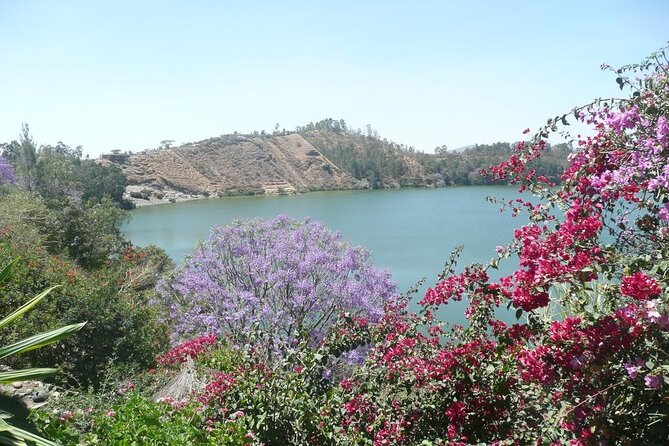 Addis Ababa Spa Day Trip To Debre Ziet(Resort Towns) - Arriving at Kuriftu Resort and Spa