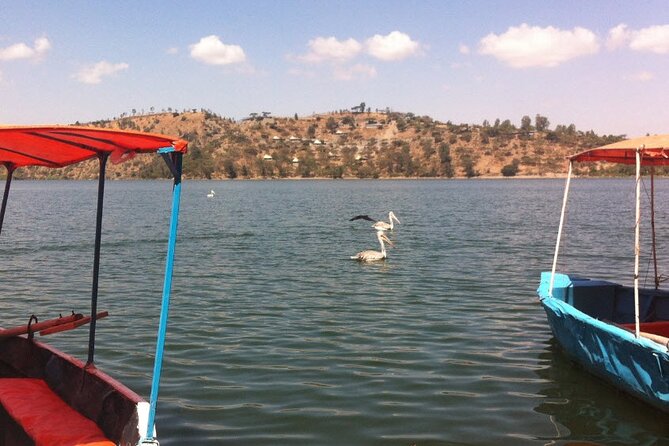 Addis Ababa Spa Day Trip To Debre Ziet(Resort Towns) - Swimming, tennis, and kayaking