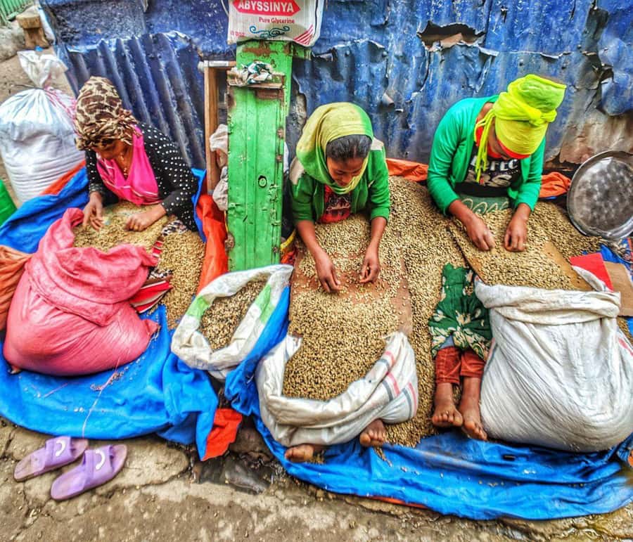 "Addis Uncovered: Culture, Views & Everyday Vibes - Six things to know before booking