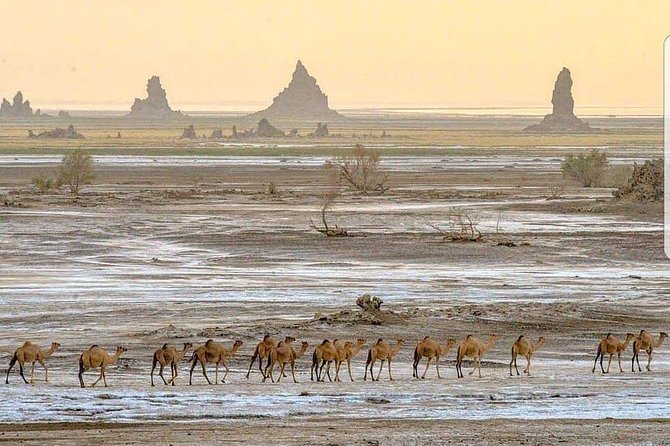 All Inclusive 03 Day Group Tour to Dalol, Danakil Depression From Semera - What the $450 price really covers