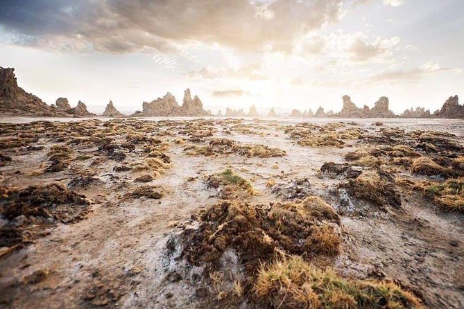 All Inclusive 03 Day Group Tour to Dalol, Danakil Depression From Semera - The most authentic parts of the experience