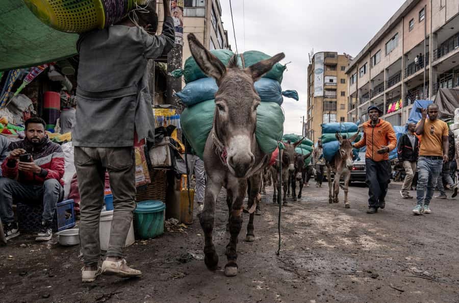 Authentic Addis Ababa City Tour with a Local Guide - Mercato, where a guide earns the fee