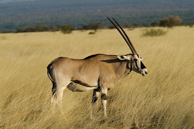 Awash National Park Tours - Key points to know before booking