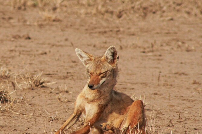 Awash National Park Tours - The private format and the human side of the trip