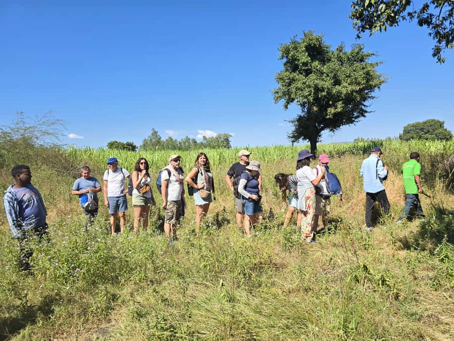 Bahir Dar:2-Day Blue Nile Falls & Lake Tana Monasteries Tour - Why Bahir Dar makes a strong two-day stop