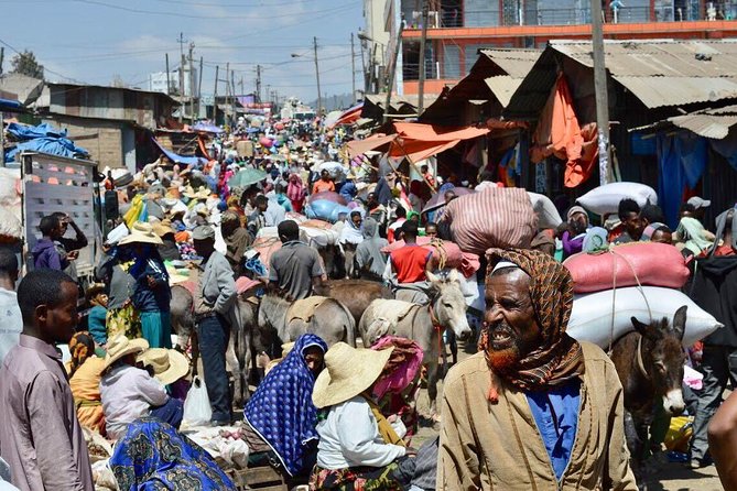 Best of Addis Ababa- (full day) - Mount Entoto: two hours above the capital