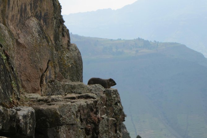 Day Hike Around Lalibela - Why this hike adds something different to Lalibela